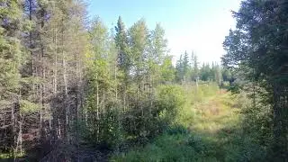 Drone View in Northeastern Minnesota's Greenwood Creek Boreal Forest