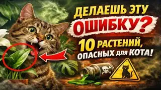Are You Making THIS Mistake? 10 