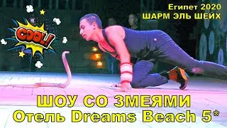 ШОУ СО ЗМЕЯМИ АНИМАЦИЯ ОТЕЛЬ DREAMS BEACH RESORT 5* ЕГИПЕТ Шарм Эль шейх