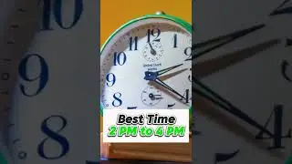 Best Timing For Reel #monetizationtricks #shortsstrategy