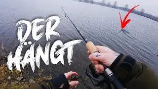 Hechtangeln mit Köderfisch und der Grundmontage