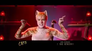 CATS -Who Will It Be 30 - En cines Enero 2