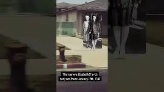 This is where Elizabeth Short's body was found #leimertpark #blackdahlia #unsolvedmystery #coldcase