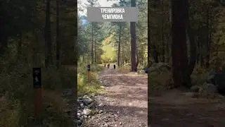 Тренировка чемпиона: Yankee в деле!