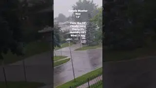 Canada Weather14&deg;￼Feels like&nbsp;12&deg;CloudyPrecip:5%Precip: 5%Humidity:88%Humidity: 88%Wind:21 km/