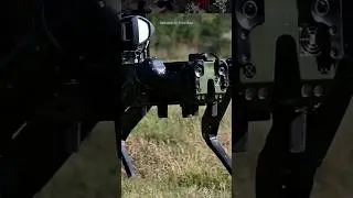 Barking Robot Dog Patrols the Perimeter
