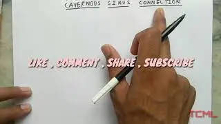 Cavernous Sinus | Part 1 | Connection | The Charsi of Medical Literature