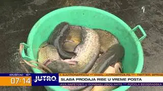 JUTRO - Smanjena prodaja ribe | PRVA