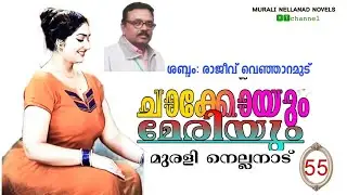 55 ചാക്കോയും മേരിയും #audiobooks | #familystory #storytelling #malayalam #novel #viral 