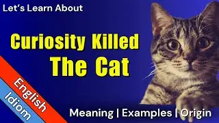 Curiosity Killed the Cat Meaning | Idioms in English