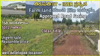 Farm land for sale with clear title near Tirupati IIT University prime location at low price
