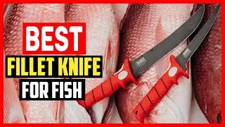 ✅Top 5 Best Fillet Knife for Fish in 2025