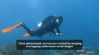 12 Days of AOML Research - Day 5: Photomosaic Surveys