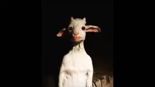 creepy goat from hell...