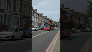 Route 243 at Brooke Road|LF67 EUZ-HV354|#fortheloveofbuses #londonproplayer2