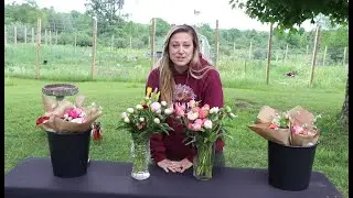 I Have a Peony Problem : Do Ants Help Peonies Open? :  Flower Hill Farm