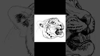 Drawing the head of a snow leopard in the style of book graphics, shorts