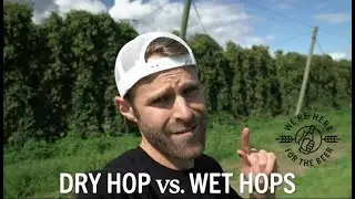 Wet Hop is a form of Dry hop - Hop Trek (ep.3)