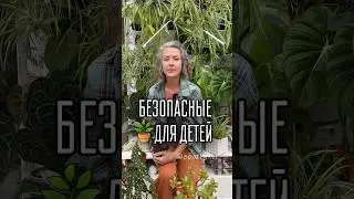 БЕЗОПАСНЫЕ ДЛЯ ДЕТЕЙ/ больше пользы в моем тг t.me/spottykit