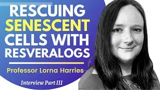 Rescuing Senescent Cells With Resveralogs | Prof Lorna Harries Ep 3