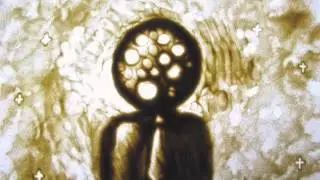 Sand Animation Professionals