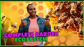 Honey Bee Box Build | Starting Our Complete Garden EcoSystem