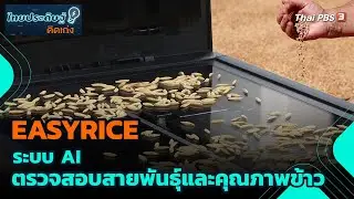 EASYRICE ระบบ AI ตรวจสอบสายพันธุ์และคุณภาพข้าว | ไทยประดิษฐ์คิดเก่ง