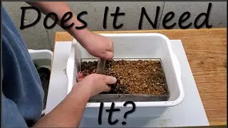 A New Look To Under Gravel Filters Cleaning!