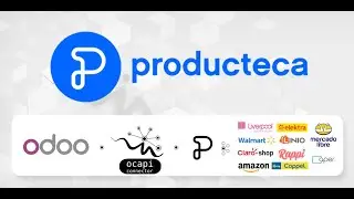 Demo Módulo Producteca para Odoo