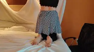 Sheet Falls