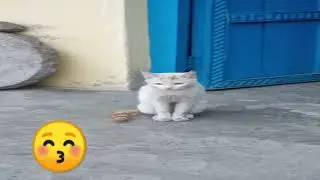 bagad Billa ka bhai😂#shortvideo #funny #viral #instagood #trending #fbreels #ytshorts #bagadbilla