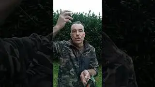 COME AVERE PIANTE DI LAUROCERASO.... CON LA  PROPAGAZIONE PER TALEA....???!🌿🌿🌿