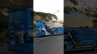 Basuri Chicken Dance Alzifa V8 Full Speed!!? #shorts #busmania #basuri #trending #alzifaairhorn