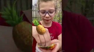 Любишь ананас ? #подпишись
