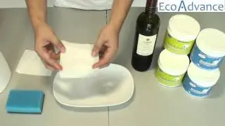 EcoAdvance Demo