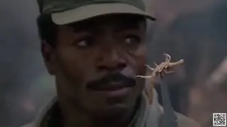 Av  - Türkçe Dublaj Film