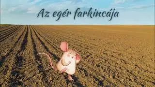 Az eg&eacute;r farkinc&aacute;ja (magyar n&eacute;pmese, hangos mese)