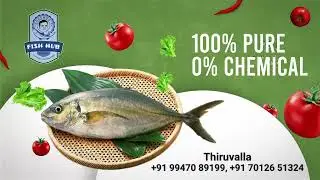 DHARMOO'S FISH HUB | Motion Graphics Ad. | Output Digital Media