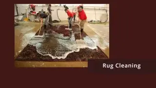 Professional carpet cleaning & home cleaning services in Auckland