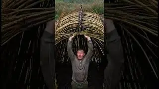 Building a Warm & Cozy NEST 🌿 | Bushcraft Tree House Survival Shelter#shorts #asmr