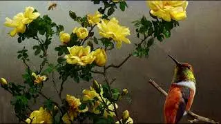 Yellow Rose of Texas - German Version (Gelbe Rose dort in Texas)