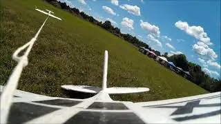Funcub Hitting Pilot Knocking Plane Out Of Hand CRASH  #SHORT
