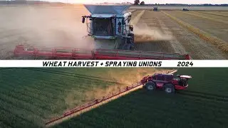 Wheat harvest + Spraying Unions |Johannes Kerkhoven Polder | Claas Lexion 8800 | Agrifac Endurance 2