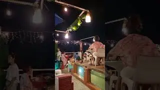 Nightlife in Havana! Rooftop bars, underground parties and more