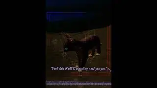 Произошла ошибка в тексте :/ #wcue #wcueedit #oc #warriorcatsoc#warriorcats#fypシ゚viral#warriorcat...