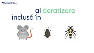 Asigurarea My Home | Allianz-Țiriac