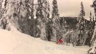 #PUNGKROSS