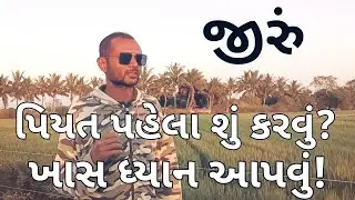 Vlog 3# જીરુંમાં પીયત પહેલા સ્પ્રે? | Cumin Crop | ખેતીની દુનિયા