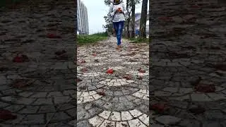 palaser bon #shorts #shortvideo #viral #pinkilucks