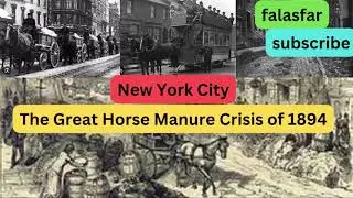The Horse Manure Problem of 1894 II Horse pollution of New York City 1800s